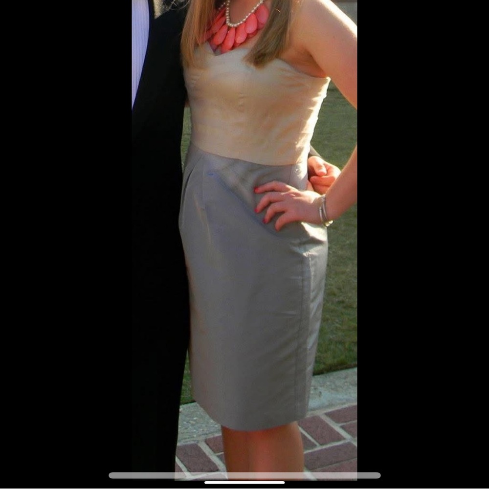 Gray Strapless Dress